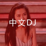 中文DJ│华语实力派Mix